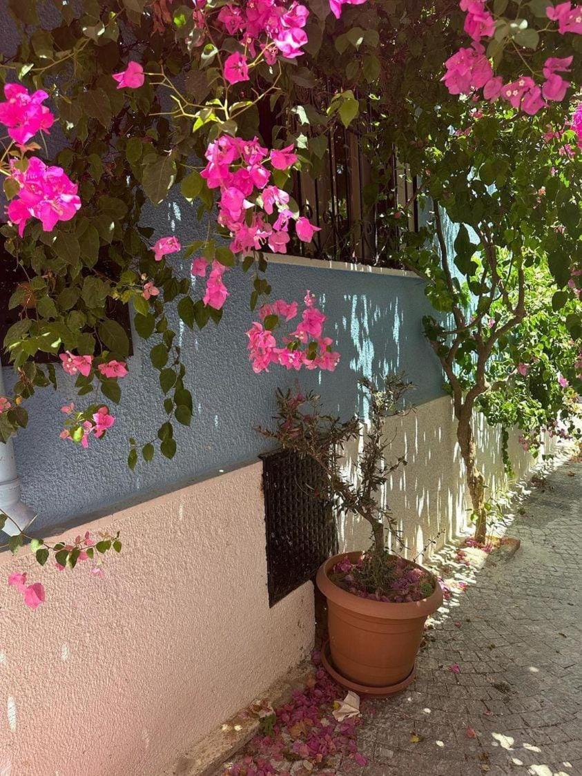 Casa Magnolia Boutique Rooms Kusadası Kültér fotó